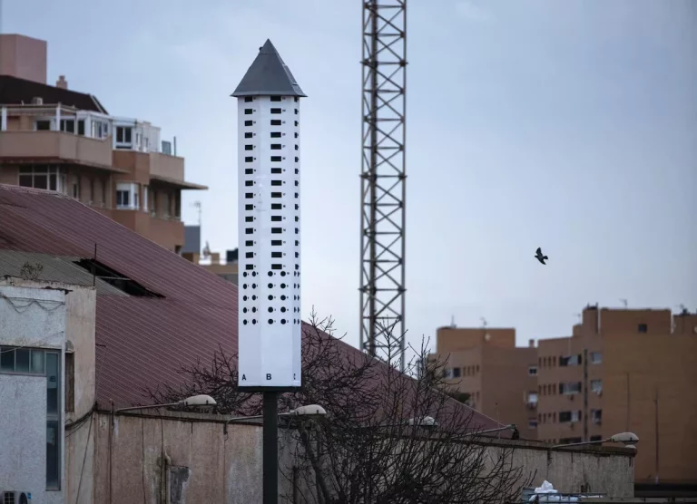 Una torre para salvar a los vencejos de Almería ante las obras para la estación del AVE